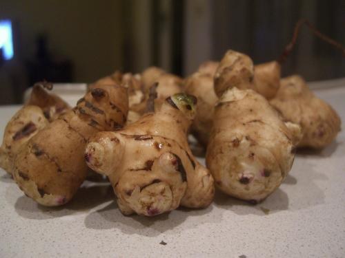 Jerusalem Artichokes